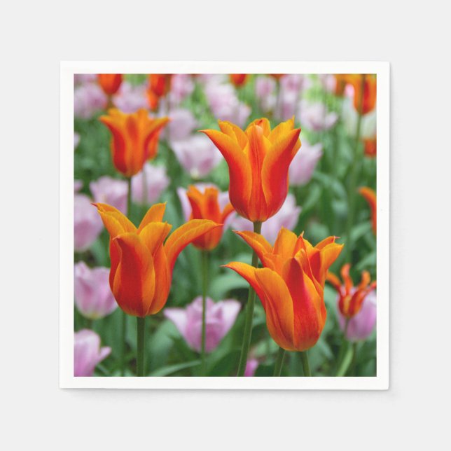 Servilleta De Papel Tulipanes naranjas brillantes en el parque (Anverso)