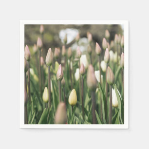 Servilleta De Papel Tulipanes que comienzan a florecer