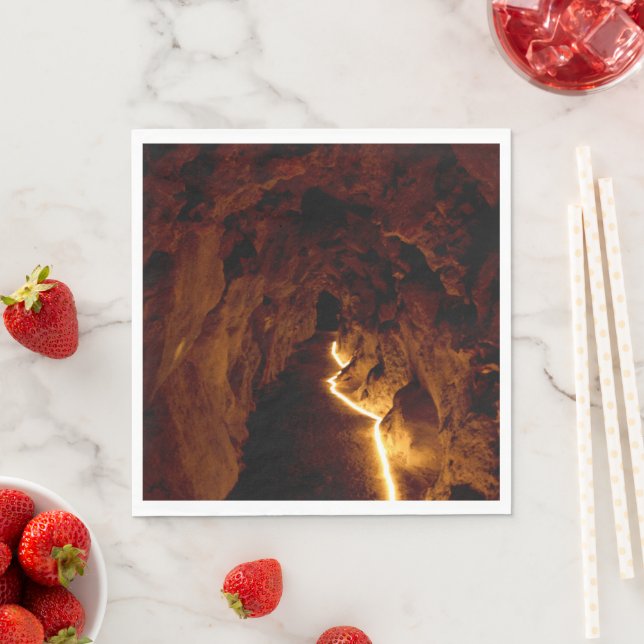 Servilleta De Papel Túnel secreto (In situ)