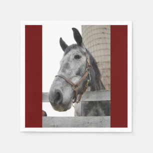 Servilleta De Papel Un buen acercamiento a un caballo