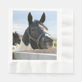 Servilleta De Papel Un caballo lindo masticando en una valla