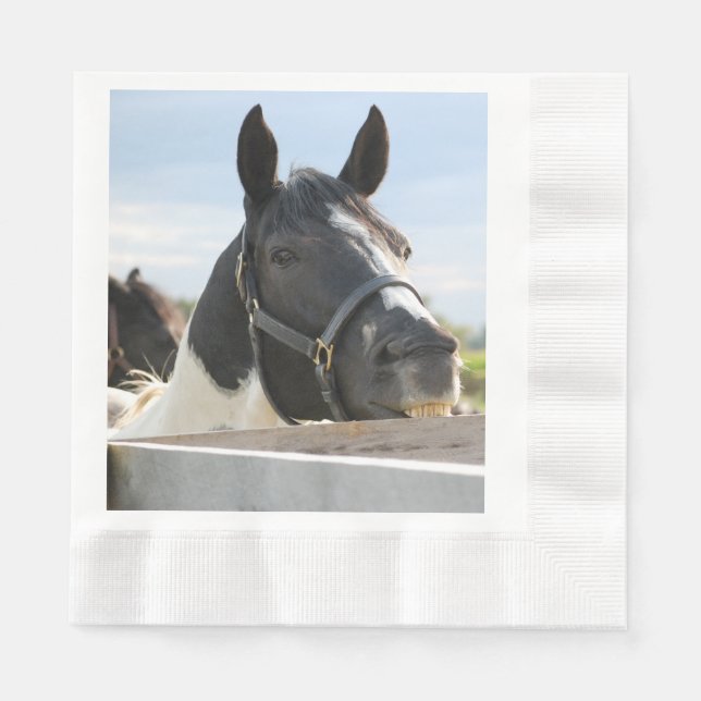 Servilleta De Papel Un caballo lindo masticando en una valla (Anverso)