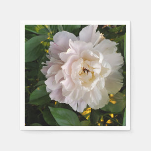 Servilleta De Papel Una delicada peonía blanca