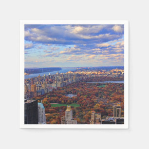 Servilleta De Papel Una vista desde arriba: Otoño en Central Park 01