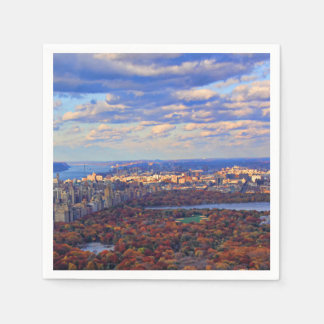 Servilleta De Papel Una vista desde arriba: Otoño en Central Park 01