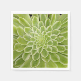 Servilleta De Papel Unas servilletas de papel deliciosas