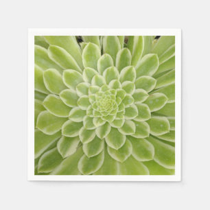 Servilleta De Papel Unas servilletas de papel deliciosas