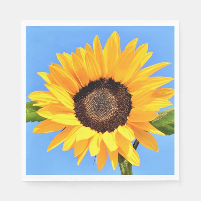 Servilleta De Papel Unas toallas de girasol amarillas cielo azul (Anverso)