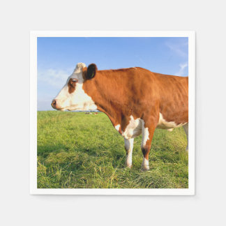 Servilleta De Papel Vaca frisia fuerte