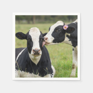 Servilleta De Papel Vaca Holstein besándose en el pasto de la granja