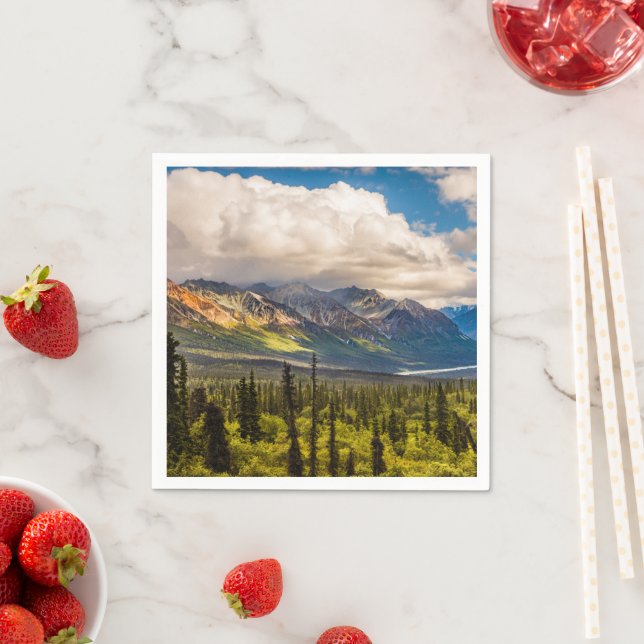 Servilleta De Papel Valle de Matanuska, Alaska meridional #2 (In situ)