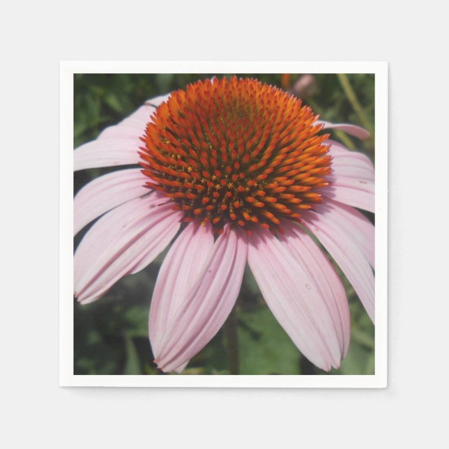 Servilleta De Papel Varotari (Anverso)