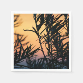Servilleta De Papel Vegetación al atardecer