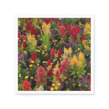 Vibrante jardín de flores de verano en Orlando Flo