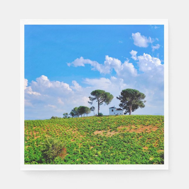 Servilleta De Papel Viña de Los Pinos (Anverso)