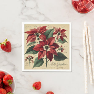 Servilleta De Papel Vintage Christmas Poinsettia Botanic Decoupage