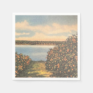 Servilleta De Papel Vintage Florida Naranja Grove Napkin