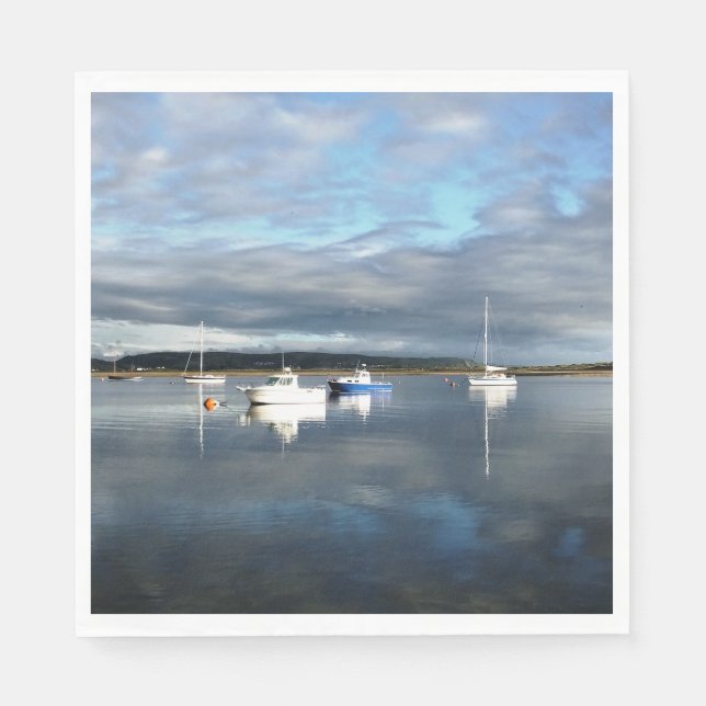 SERVILLETA DE PAPEL VISTAS DE GALES (Anverso)