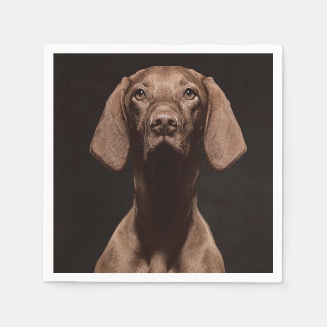 Servilleta De Papel Vizsla Tercero (Anverso)