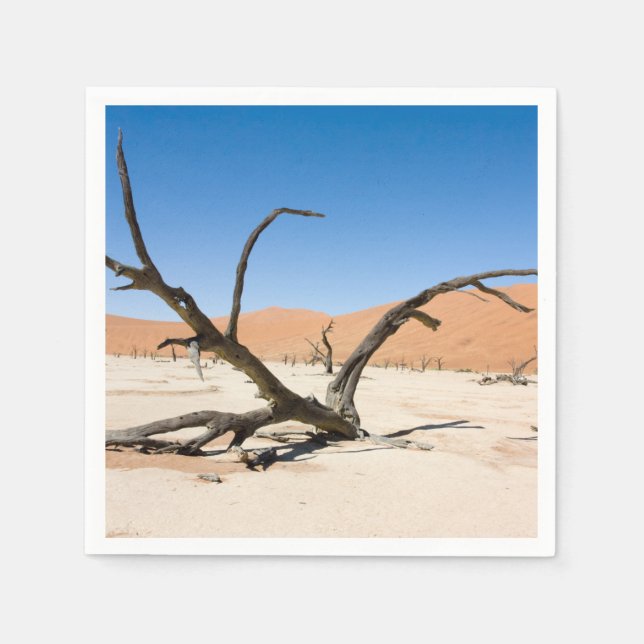 Servilleta De Papel Vlei muerto, Namibia (Anverso)
