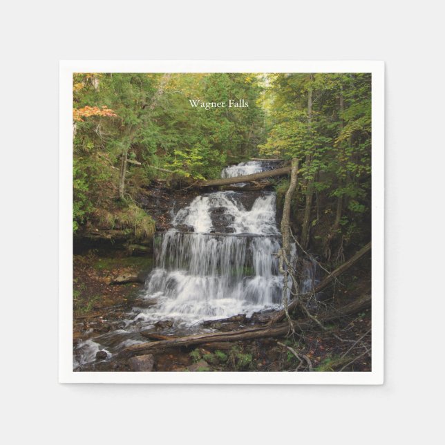 Servilleta De Papel Wagner Falls napkin (Anverso)