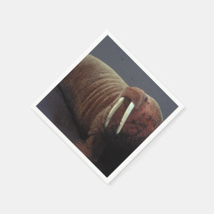 Servilleta De Papel Walrus