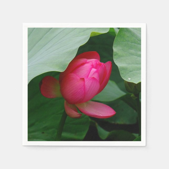 Servilleta De Papel Water Lily Deep Rosa (Anverso)
