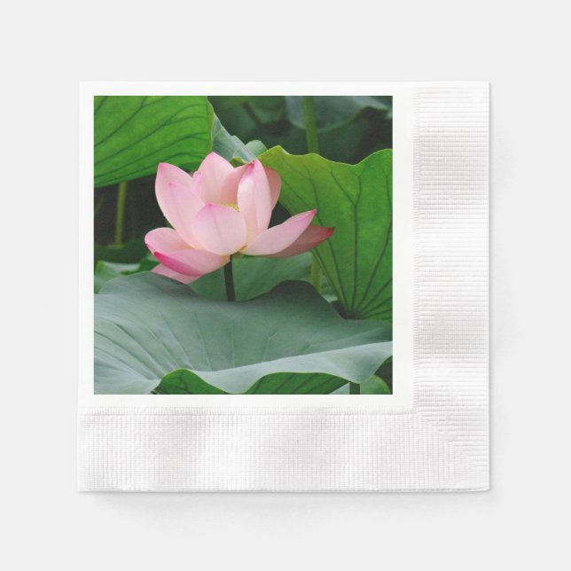 Servilleta De Papel Water Lily Pink (Anverso)