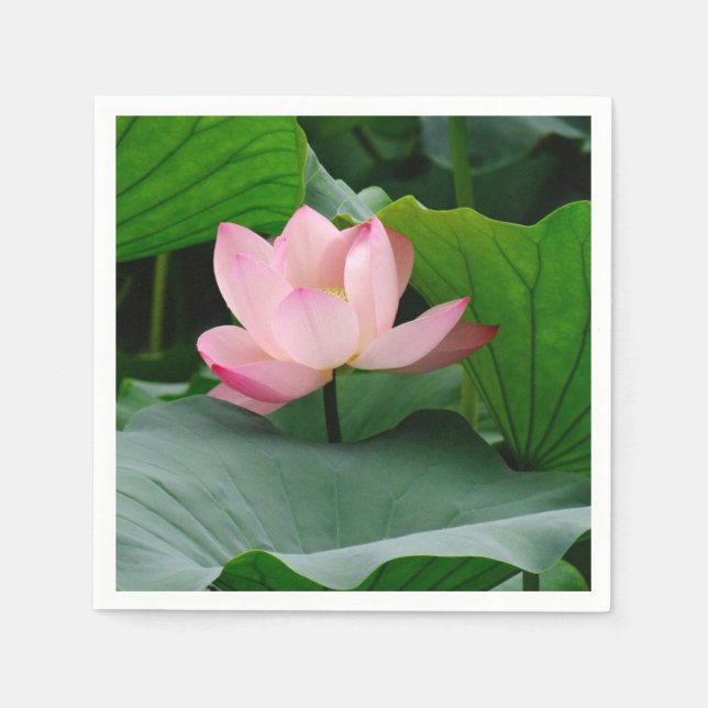 Servilleta De Papel Water Lily Pink (Anverso)