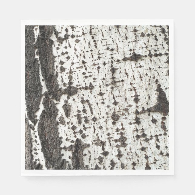 Servilleta De Papel Weathered birch trunk (Anverso)