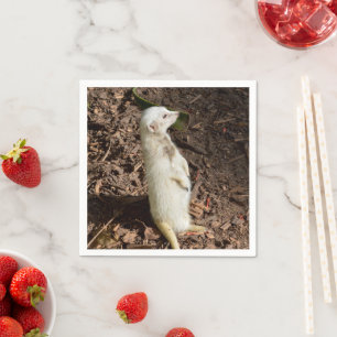 Servilleta De Papel White Meerkat Standing , Napkins de Fiesta de pape