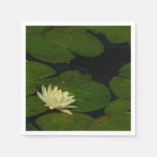 Servilleta De Papel White Waterlily I Fotografía Floral Pacífica