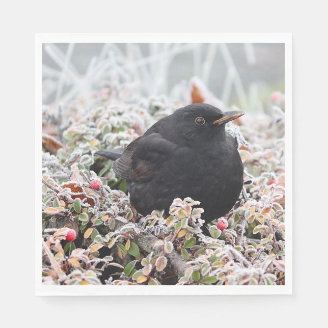 Servilleta De Papel Winter Blackbird (Anverso)