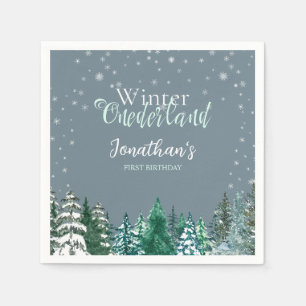 Servilleta De Papel Winter Onederland Primer cumpleaños paisaje nevado