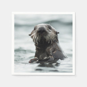Servilleta De Papel Wise Otter