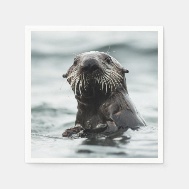 Servilleta De Papel Wise Otter (Anverso)
