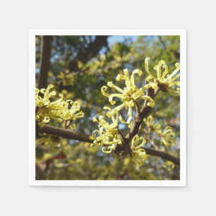 Servilleta De Papel Witch Hazel Flowers
