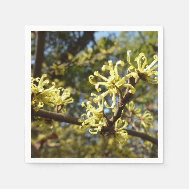 Servilleta De Papel Witch Hazel Flowers (Anverso)