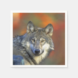 Servilleta De Papel Wolf_2015_0301