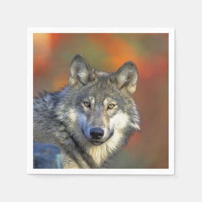 Servilleta De Papel Wolf_2015_0301 (Anverso)