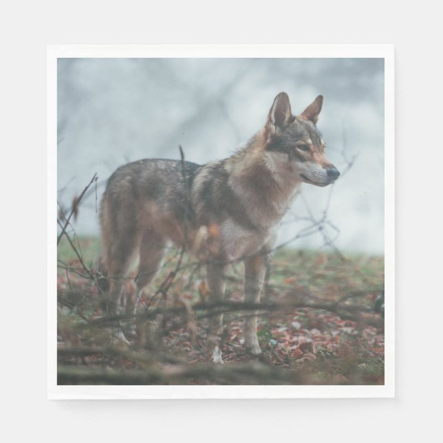 Servilleta De Papel Wolfdog (Anverso)