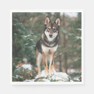Servilleta De Papel Wolfdog