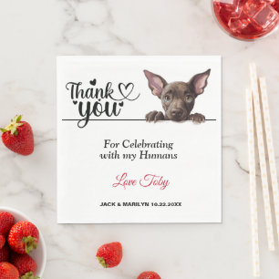 Servilleta De Papel Xoloitzcuinti Peeking Dog Napkins