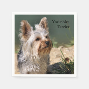 Servilleta De Papel Yorkshire Terrier