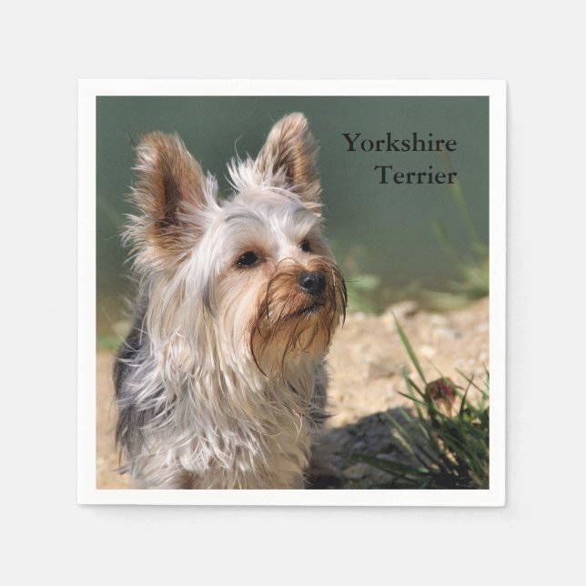 Servilleta De Papel Yorkshire Terrier (Anverso)