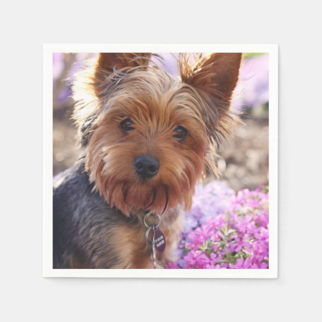 Servilleta De Papel Yorkshire Terrier (Anverso)