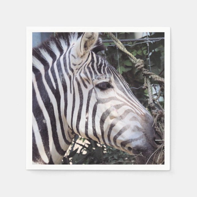 Servilleta De Papel Zebra (Anverso)
