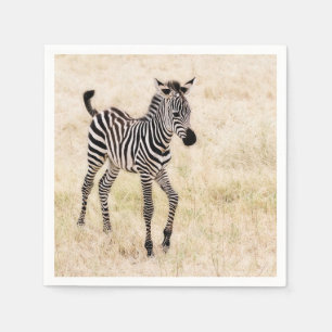 Servilleta De Papel Zebra Colt