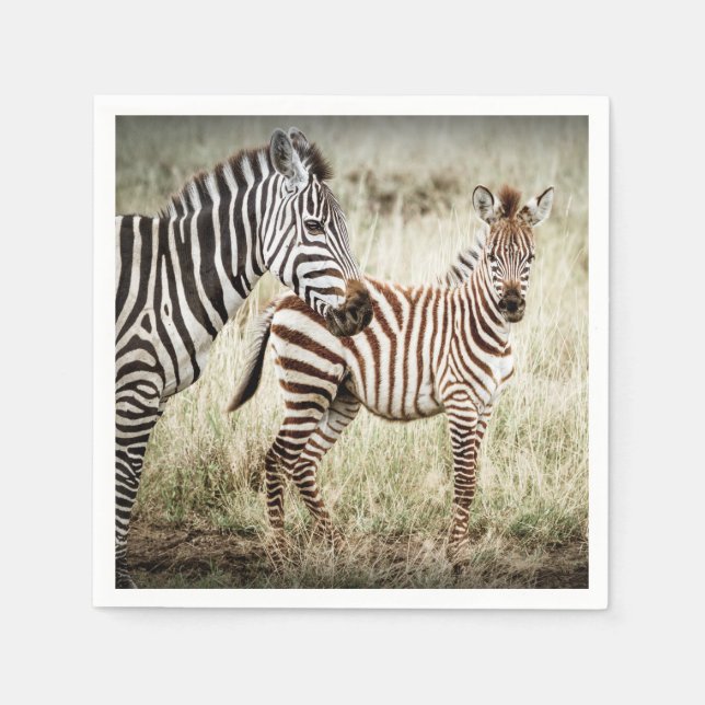 Servilleta De Papel Zebra y toallas para bebé (Anverso)