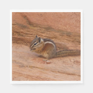 Servilleta De Papel Zion Chipmunk sobre las rocas rojas